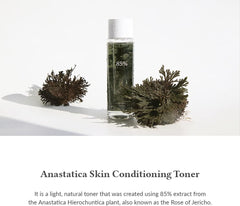Dr. Althea Anastatica Skin Conditioning Toner