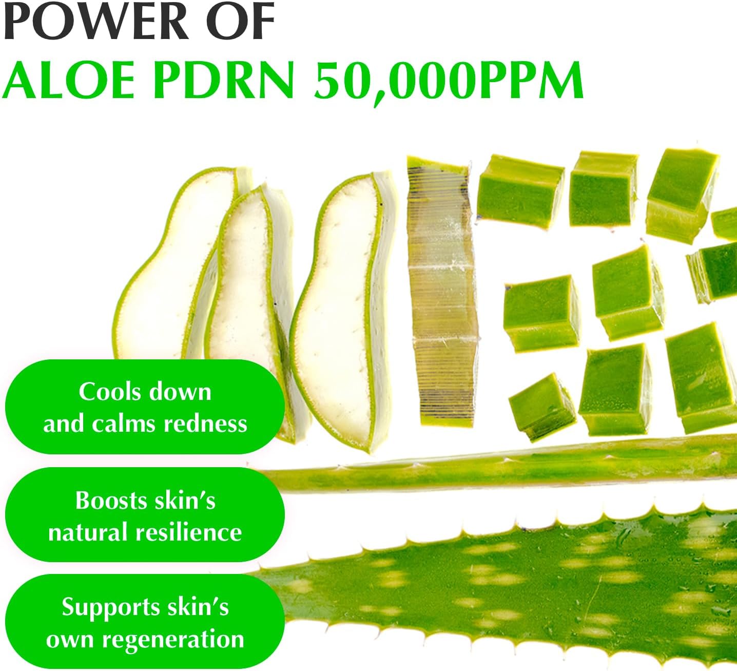 EQQUALBERRY Aloe PDRN Soothing Serum